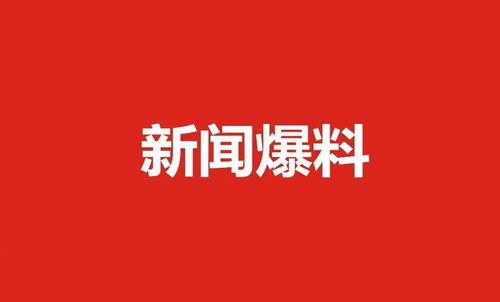 肇东最新爆料新闻事件,最新事件引发社会广泛关注