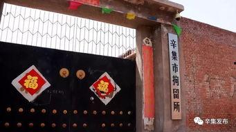 辛集中学爆料案件最新,真相大白，校园安全再引关注