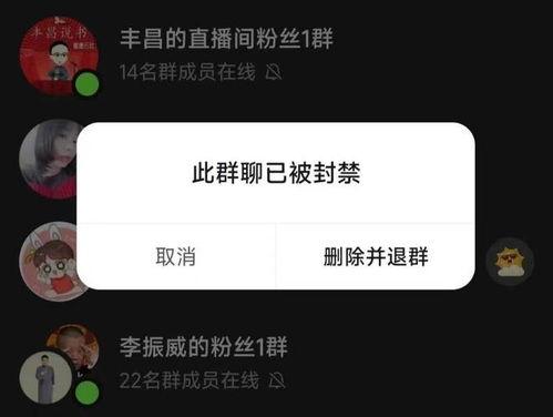 杜导最新爆料视频在线观看,精彩内容抢先看！