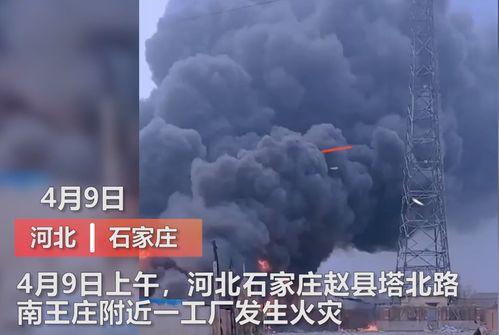 魏县最新事件爆料视频曝光,视频曝光揭示惊人真相