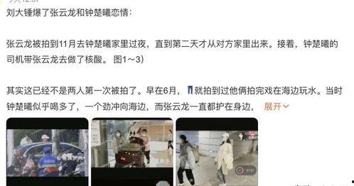 刘大锤爆料最新爆料事件,最新爆料事件震惊娱乐圈