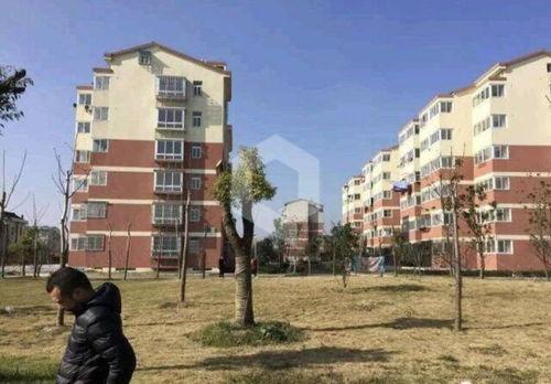 最新家园爆料,最新动态与未来展望