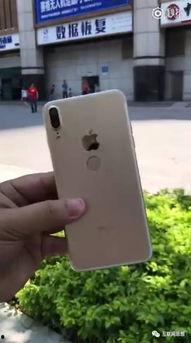 iphone 14最新爆料华强北,iPhone 14最新爆料，功能升级引期待