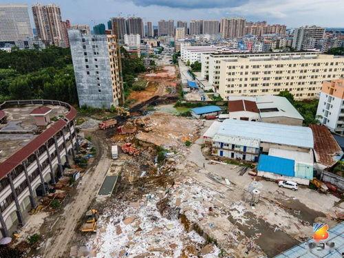 博白最新爆料,揭秘背后惊人真相