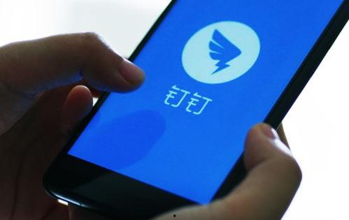 钉钉最新爆料在哪里看,生成功能一触即达，查看便捷新体验