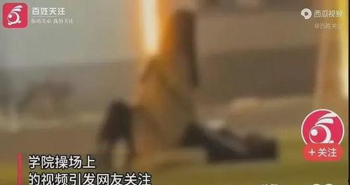 沈阳学生爆料事件视频最新,真相与争议交织的校园风云