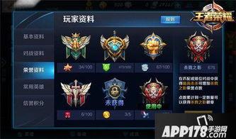 王者s33手册最新爆料,全新爆料揭秘新赛季精彩看点